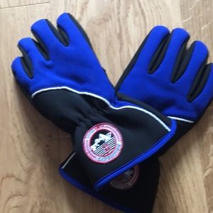 Fleece lined Swiss tech gloves